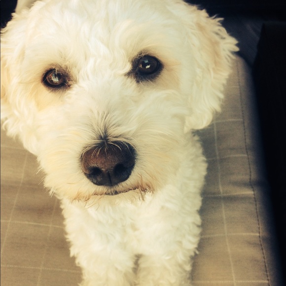 Enjoy Momma’s Closet? We ❤️ that you came by❣️ - Picture 5 of 8